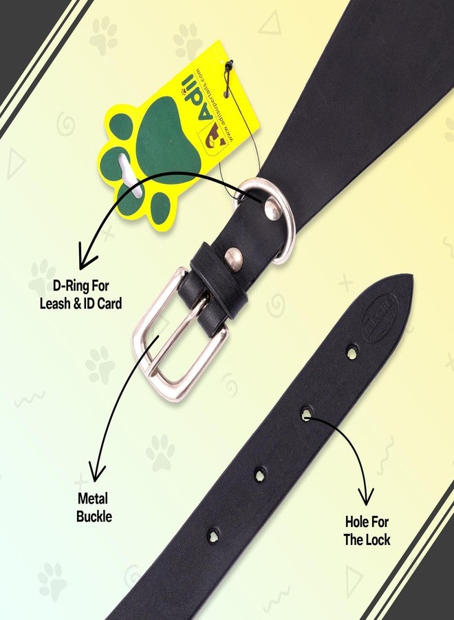 ADIL'S Adil’s Greyhound Dog Collar (Without Padding), Genuine Leather Suitable for Saluki, Whippet Dogs & Breeds with Similar Neck/Head Structure Size M, Black - Image 3